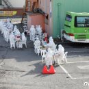 킹 게임랜드 이미지