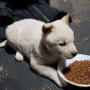 용소골농장 이미지