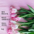 침착하게 감사의 날~~~날 이미지