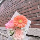 함께한 로맨틱한 하루, 도봉산역 보석 같은 공간, 김근태기념도서관 방문 후기 (주말 힐링 코스 추천!)