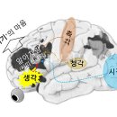 붓다와 뇌과학 3 | 싸띠, 붓다의 위대한 발견! 이미지