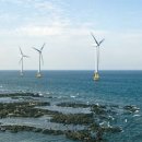 탐라태양광발전소 이미지