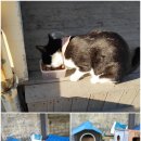 카페칠성 이미지