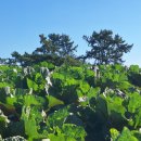 농어촌버스정류장 옆 이미지