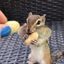 정도카라이프 이미지