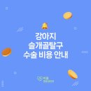 리움동물의료센터 | [공지] 리움동물의료센터 : 강아지 슬개골 탈수 수술 비용 안내