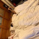 난산리-3 이미지