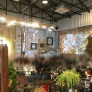자발적 아싸 생활에 성공(?)한 대학생이 알려주는 대학생활 (대학생활의 모든 것 / 개인적 의견 100%...