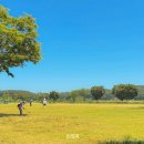 송이조각공원 화장실 이미지