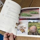 카페디앤디 이미지