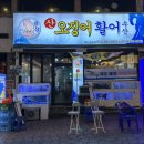 대구 광코 방어 맛집 광장산오징어활어수산