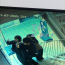 언진주