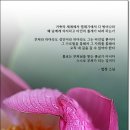 거죽의 세계에서... 이미지