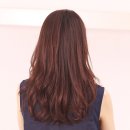 김헌헤어
