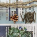 화순군청(환경과) 네이버블로그