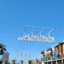 비치, 브리즈번 사인, 뮤직바 가보기 (SouthBank, Brisbane Sign, Music Bar - Miss Demeanour Laneway...