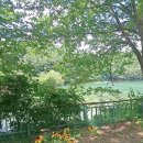 세시 - 기장군 | 마산 내서카페)숲뷰와 계곡 소리에 힐링하고 온 내서 감성 카페 '세시라기' 내돈내산 후기 🌿