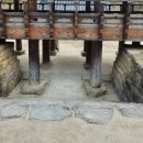 면장군 | 고령에도 왕과 사는 남자 촬영지가 있어요 고령김면장군 유적지 2026년 3월29일 다녀온 후기