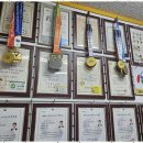 용인대 가온 태권도장 이미지