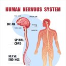 뉴로트레이닝센터 이미지