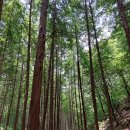 화인목욕탕 이미지