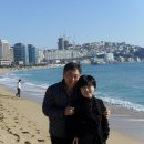 해운대 Daum카페