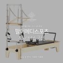 팔머메디스포츠 이미지