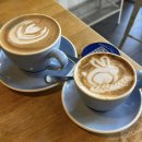 온다, 봄이 꽃차바리스타 | 눈물 없이 볼 수 없는 만학도 유학생의 브리즈번&amp;골드코스트 여행 후기