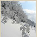 2017.02.12(일)/변경/ 강원도 평창 눈꽃축제-삼양하늘목장 꽁꽁 겨울여행-트랙터 마차 체험. 이미지