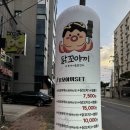 닭꼬야끼 이미지