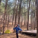 상천테마공원(주차장) | [호명산잣나무숲속캠핑장] 1박 2일 백패킹 후기｜7번 vs 18번 사이트 비교 + 예약·교통·꿀팁 총정리