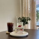 캐로티 | [ 파주 금촌 ] 아기자기한 분위기 좋은 케이크 맛집 카페 ‘캐로티’