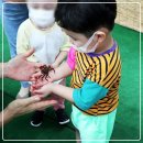 대인농장3 이미지