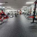 다윗헬스클럽 이미지