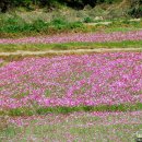 풍경이 머무는 곳 이미지