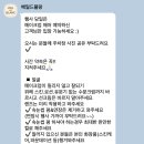 수아의뜰 | [ W4. 베일드블랑: 계약후기2 ] 혼주 메이크업까지 준비완료 (100% 내돈내산) 보타닉파크 아이폰작가...