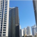 광안자이부동산중개사무소 | 광안리의 고품격 아파트, 광안에일린의뜰에서 시작해보세요