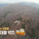 반주종생 이미지
