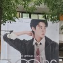 첼로노래방 | 250613 NCT 도영 콘서트 DOORS 후기