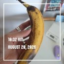 씨유 양산트리마제점 | [다이어트 기록 3일차] 식단과 운동과 하루 8/20