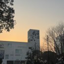 상해 한 달 살기 (4) : 푸동미술관 피카소 전시 후기 | 상해 야경 맛집 (꼭 가보시길 🌟)