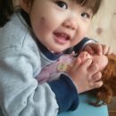세라어린이집 이미지