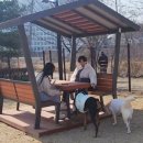 중산2동 행정복지센터 이미지