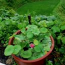 연자농장 이미지