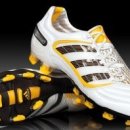 수원-0013 이미지