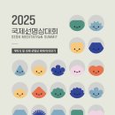 핸드팬 Handpan 공연 후기 l 2025 국제선명상대회 핸드팬 연주_봉은사