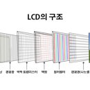 콩카네 데일리안