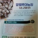 할렐루야농장 이미지