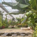 물빛정원펜션 이미지