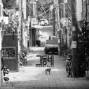 플랜24